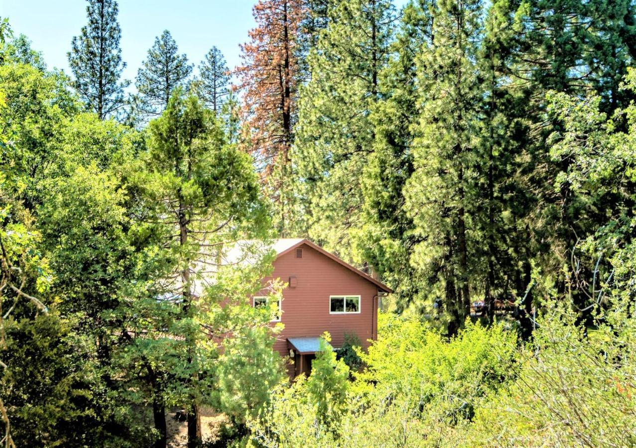 Sequoia Trails, Mountains, Fun&relax * Ponderosa