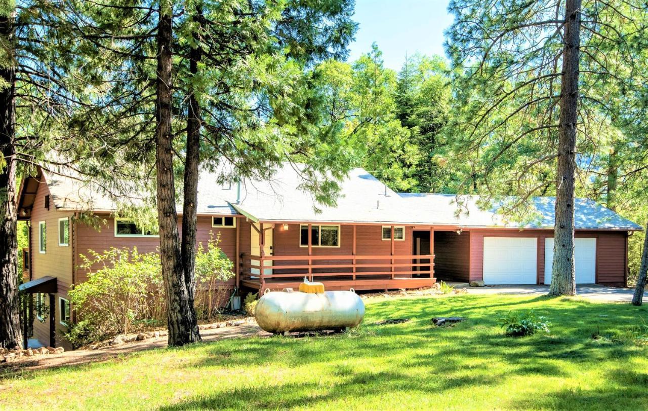 Sequoia Trails, Mountains, Fun&relax Ponderosa